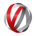 VOLCAN CAPITAL